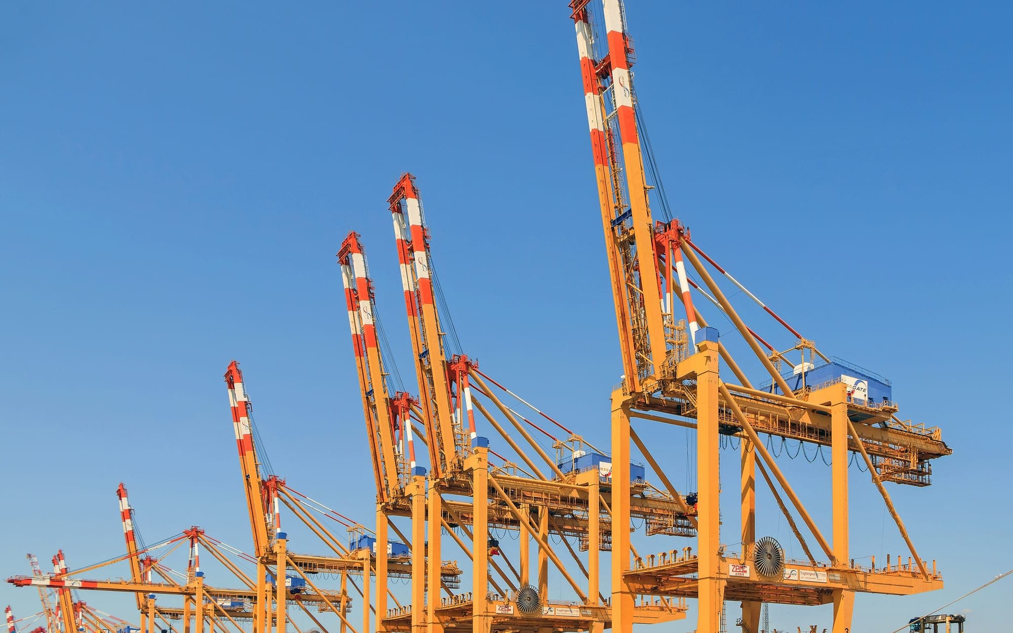 A row of orange gantry container cranes with red-and-white booms against a clear blue sky